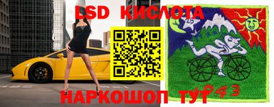 мяу мяу мука Кулебаки