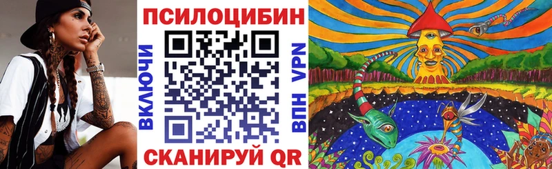Псилоцибиновые грибы GOLDEN TEACHER  Димитровград 