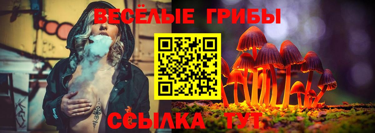Галлюциногенные грибы Magic Shrooms  Вход с VPN  Димитровград 